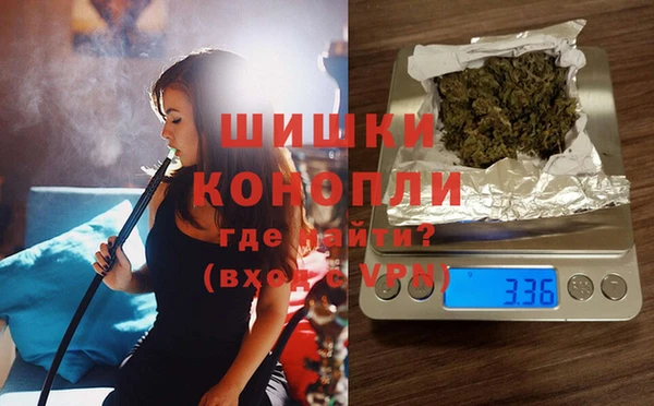 ПСИЛОЦИБИНОВЫЕ ГРИБЫ Алексеевка