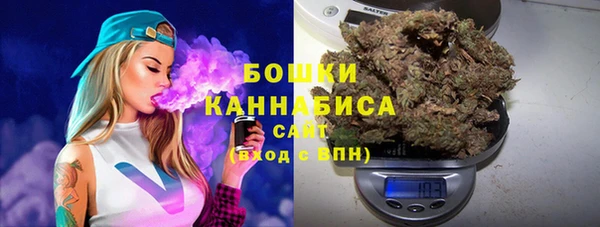 ПСИЛОЦИБИНОВЫЕ ГРИБЫ Алексеевка